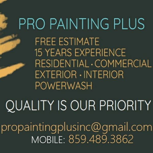 pro painting plus