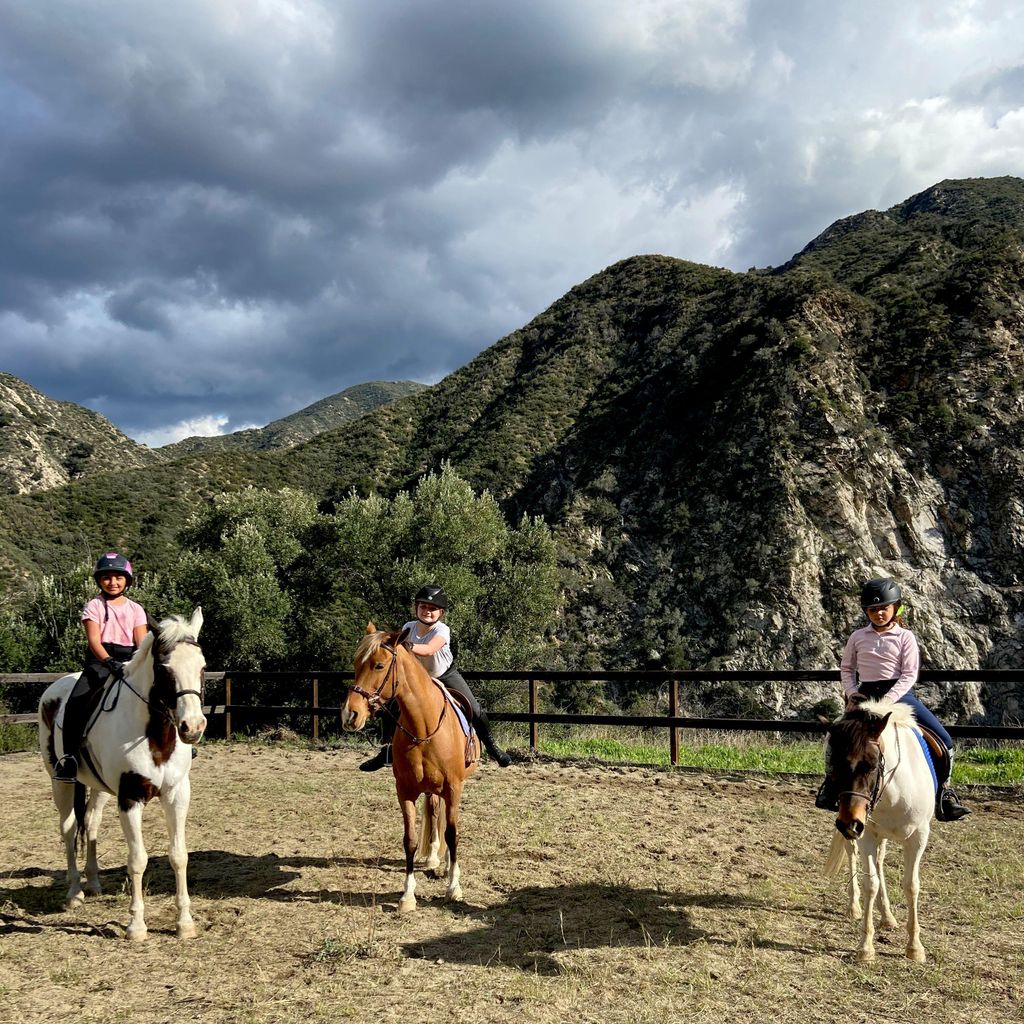 Epona Riding Academy and Natural Horsemanship
