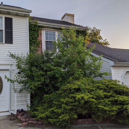 Morales Landscaping Bernardsville, NJ Thumbtack