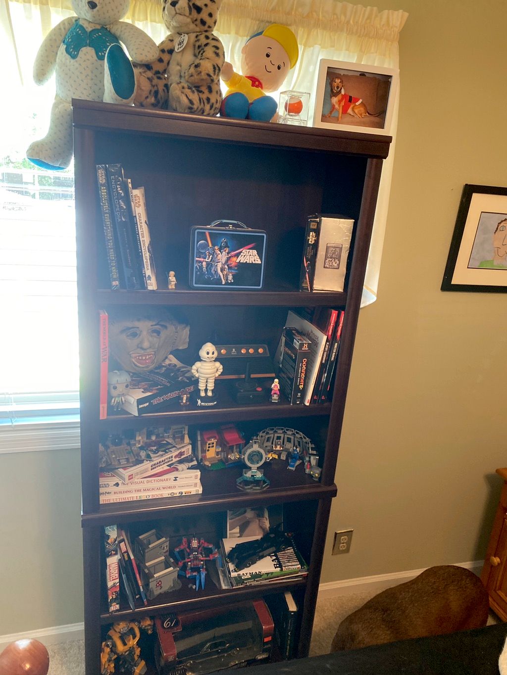 Projects and media