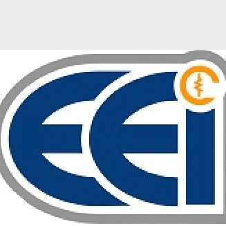 Elan Electric Inc.