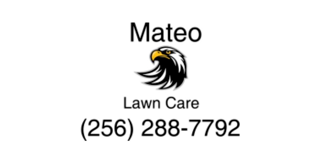 Mateo’s Lawn Care