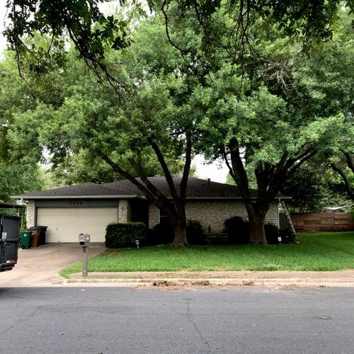 Jose removed two 90-100’ Arizona Ash trees that ha