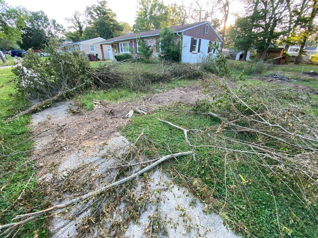 I had a mess of tree debris left from a yard clean