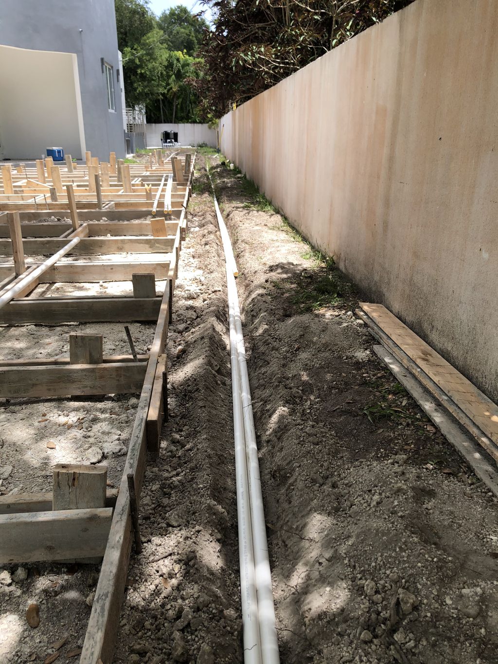 Projects and media