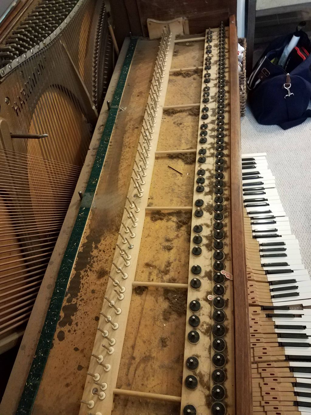 Francesco did an excellent job on my old piano. He