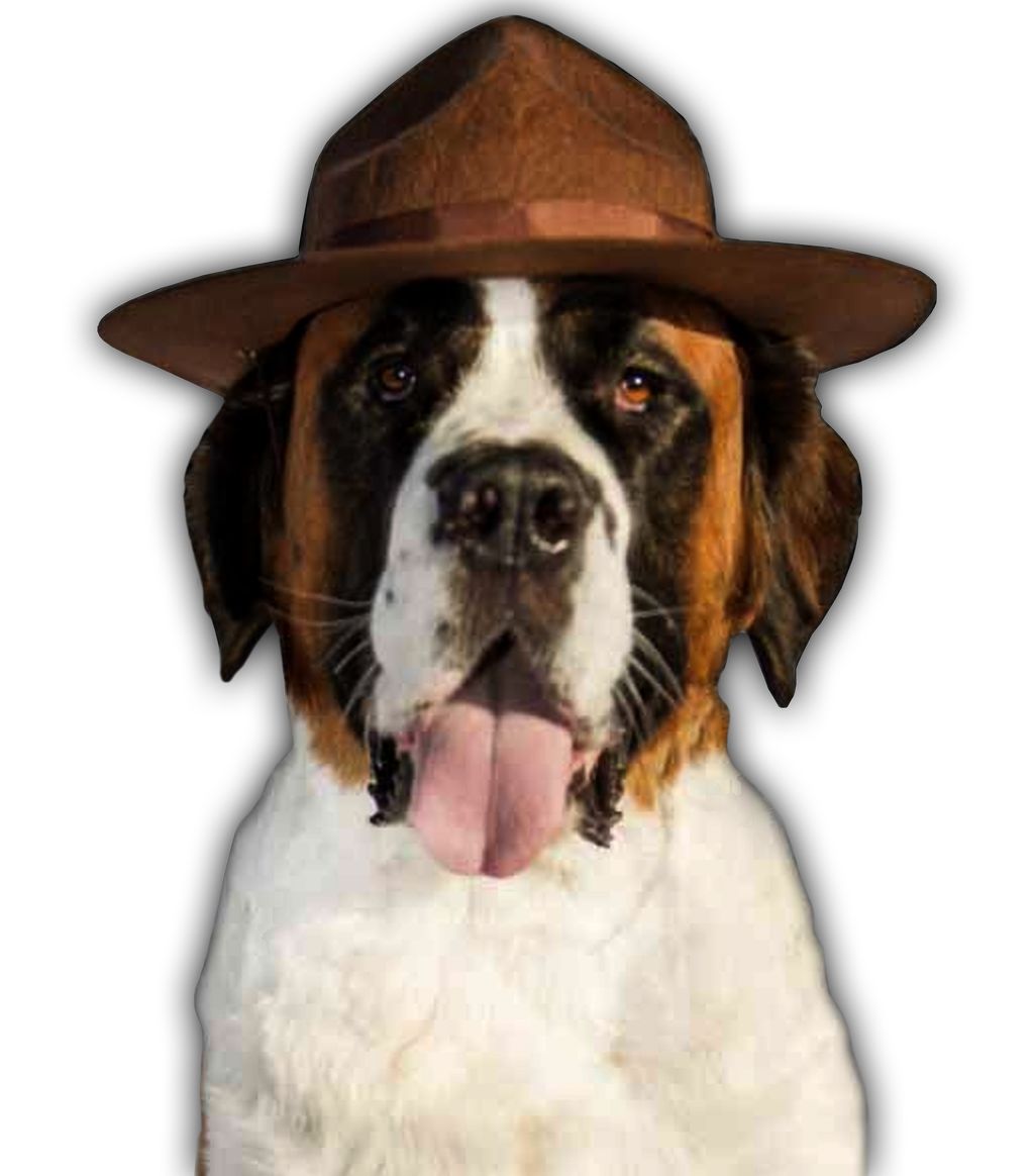 "Whiskey" our Superstar!