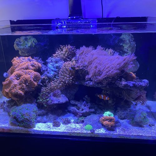 Aquarium Services provided the complete start-to-f