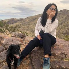 pro avatar