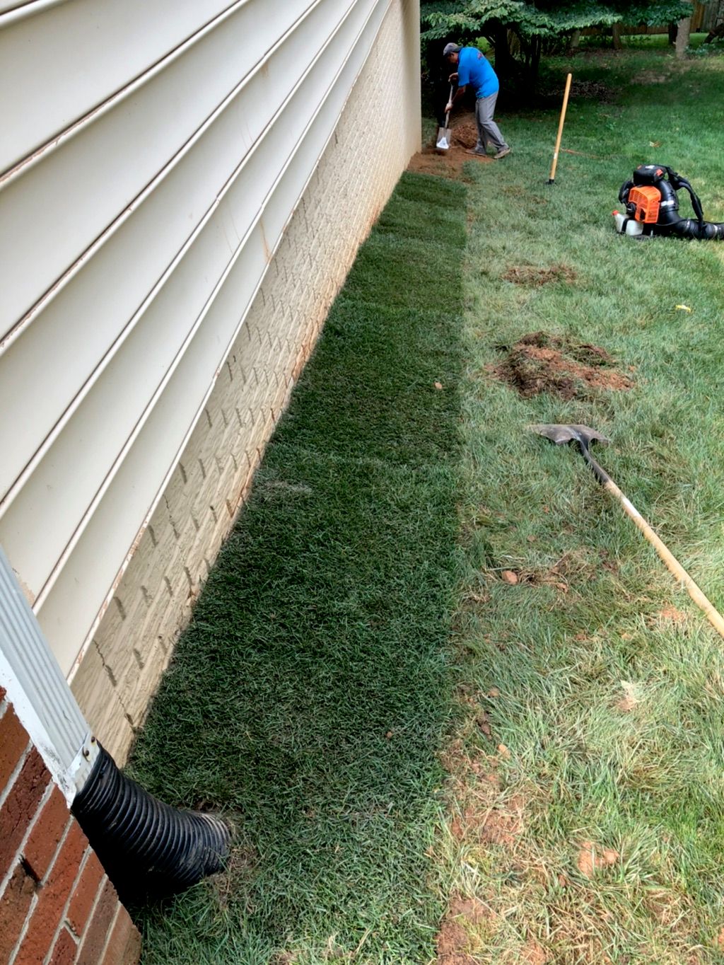 Customer photos