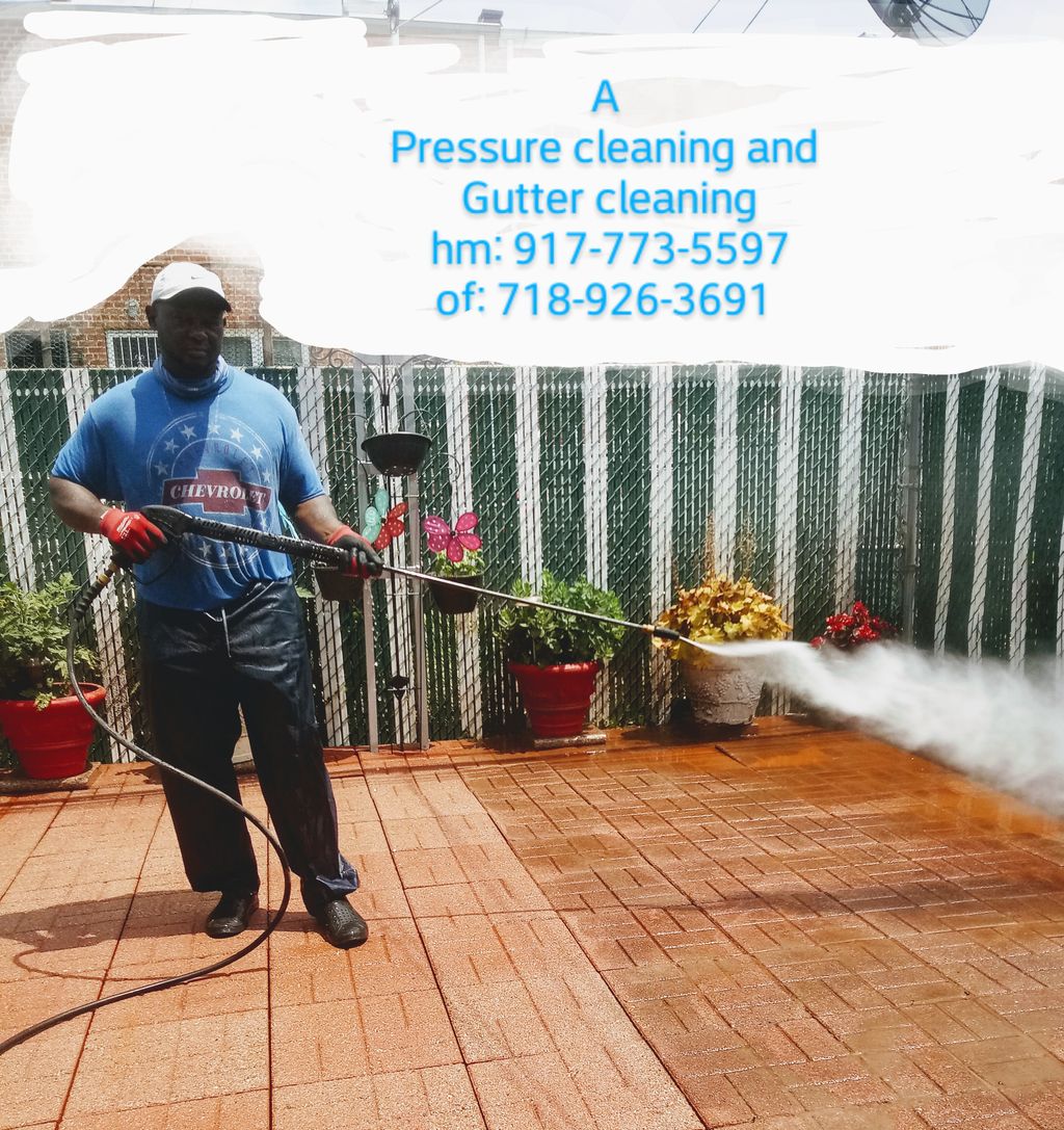 "A pressure cleaning and gutter cleaning"