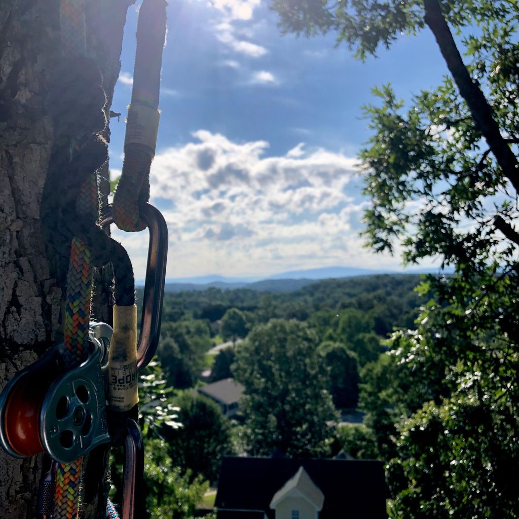 integrity Tree Care