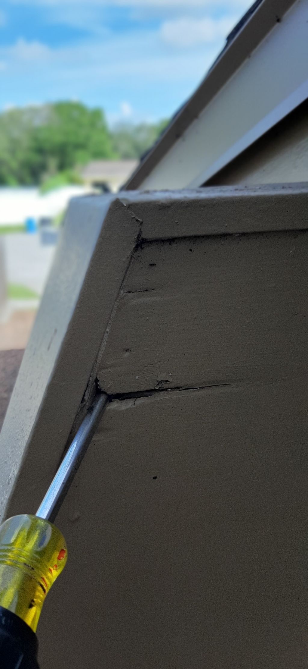 Wood Decay