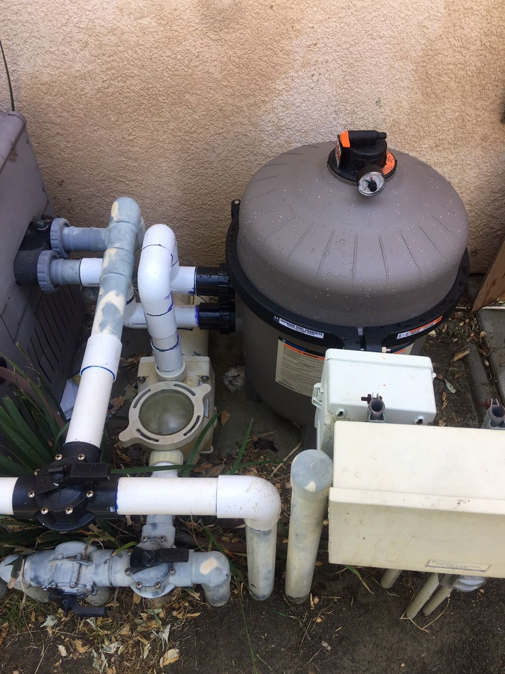 New filter and plumbing