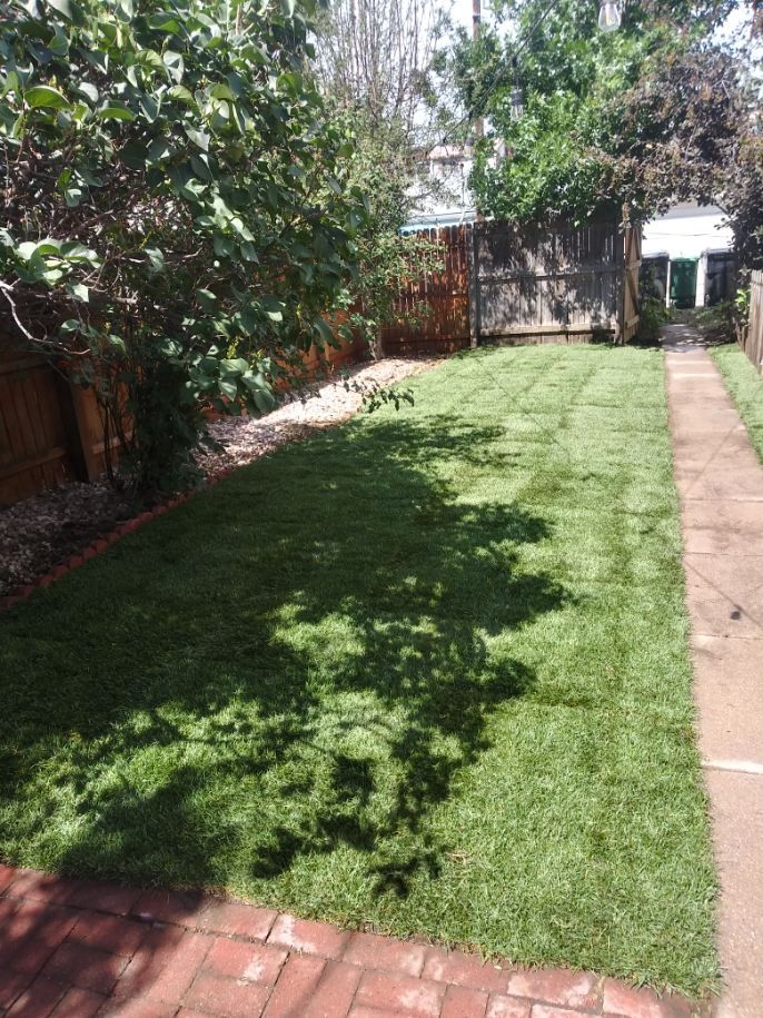 Customer photos