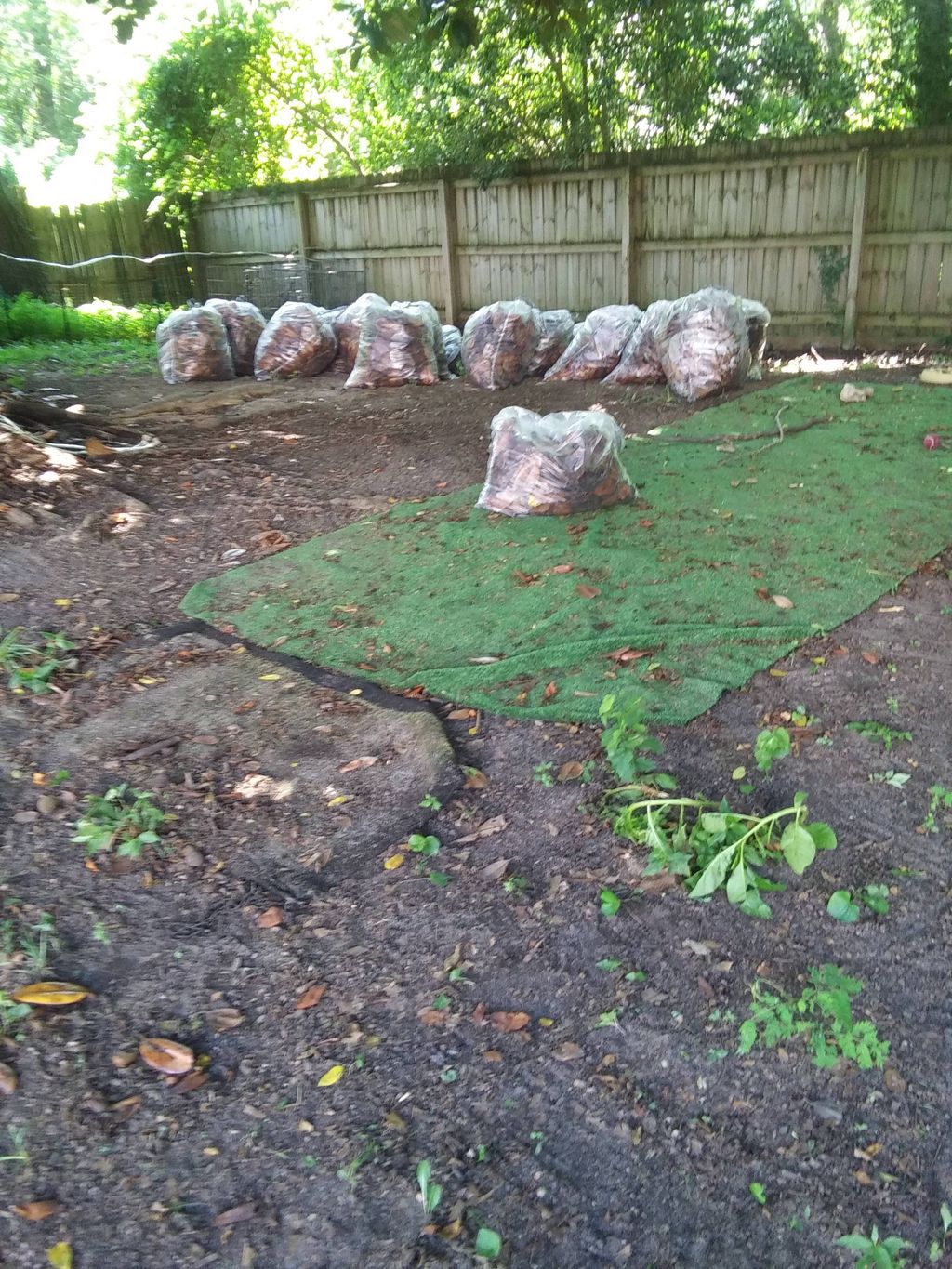 finished yard waste removal job