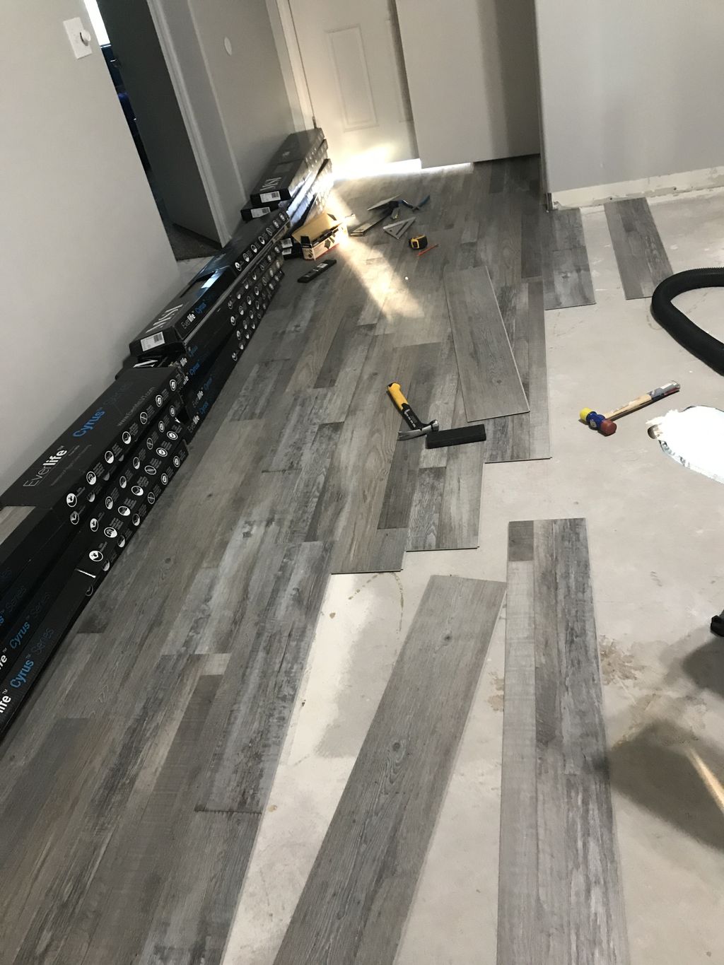 Projects and media