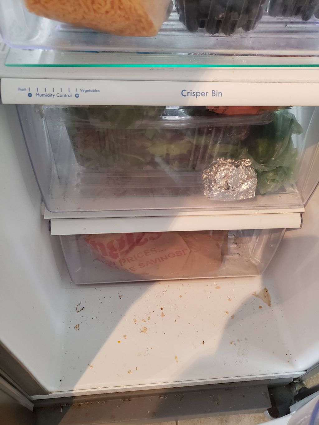 fridge cleaning (before)