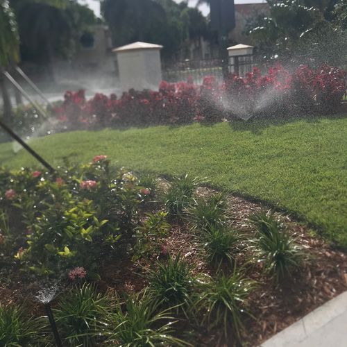 Sprinkler Guy Miami Llc Fort Lauderdale, FL Thumbtack
