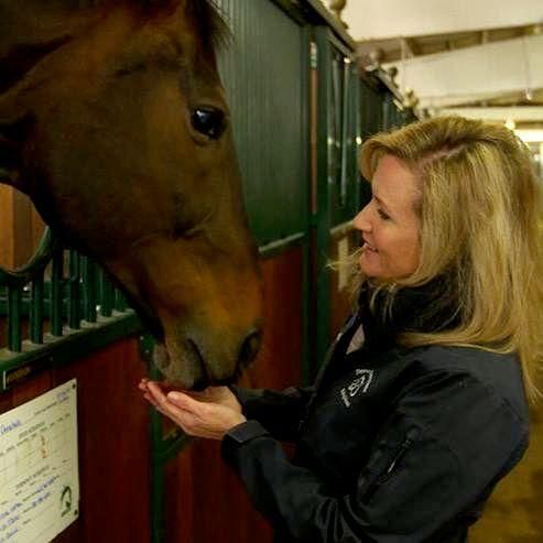 Denver Equestrians Riding School