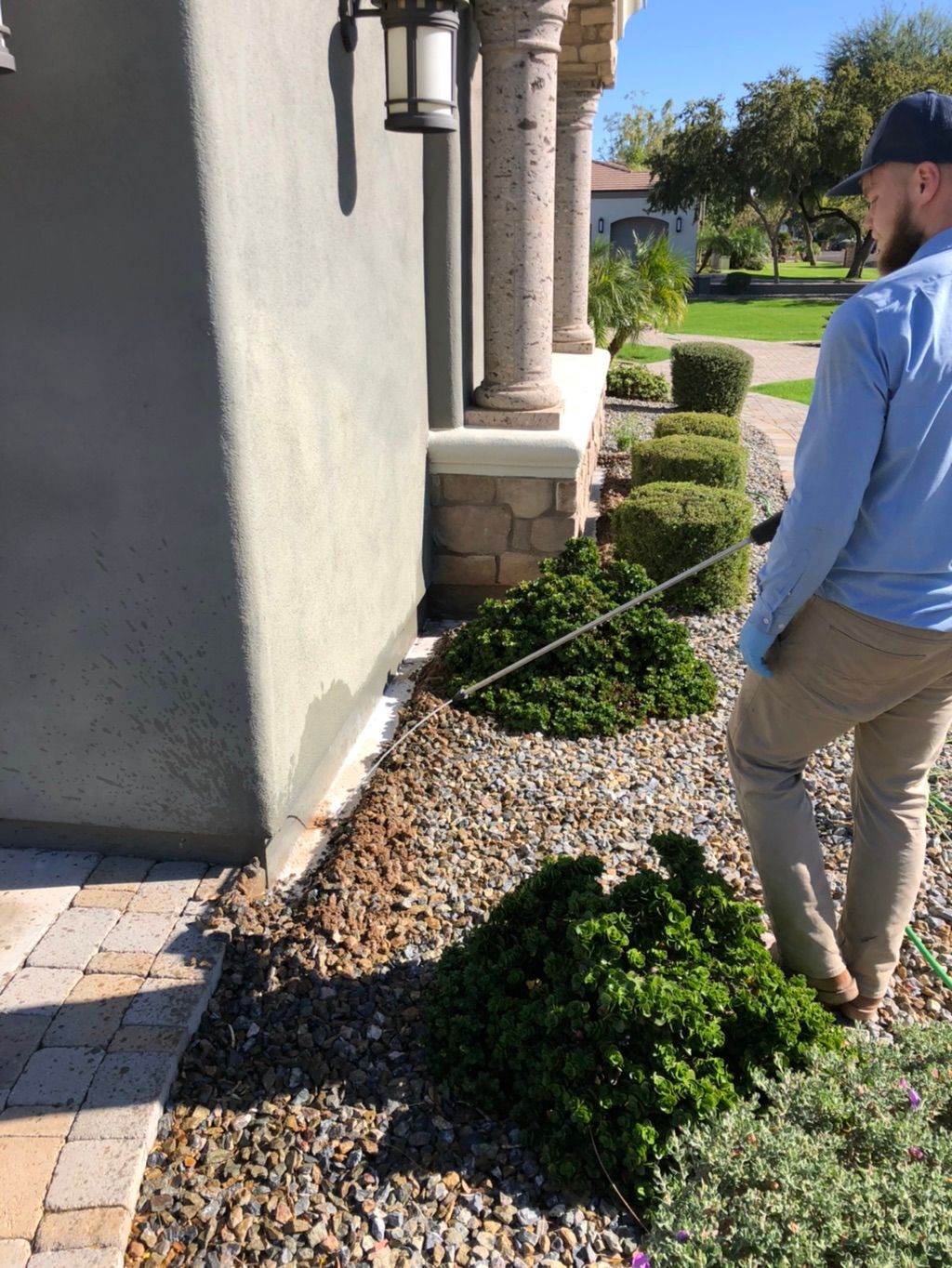 Treating home for termites