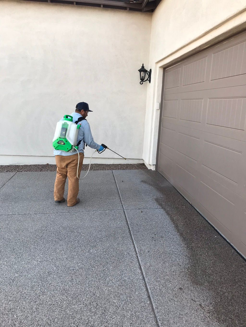 Treating home for pests