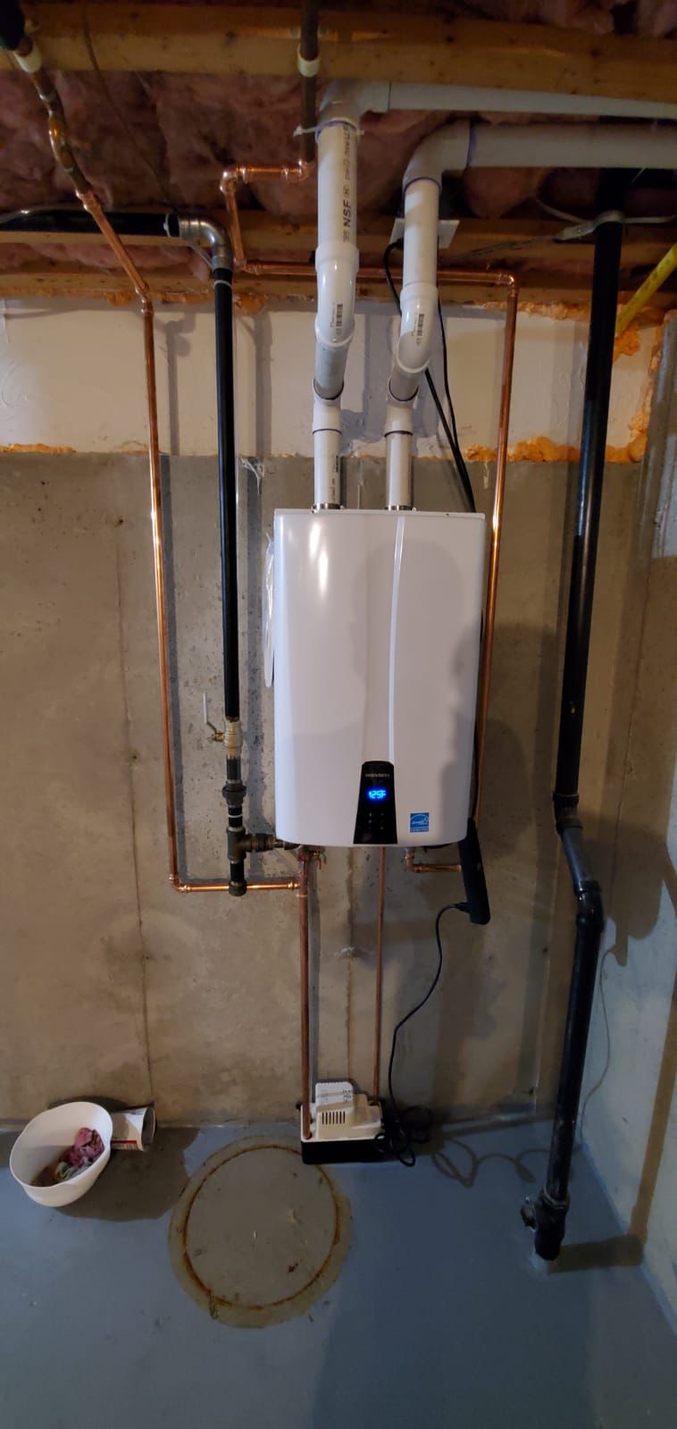 Tankless Water Heater