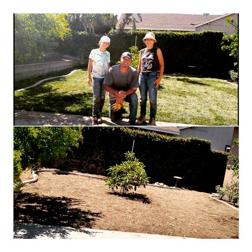 Backyard Restoration