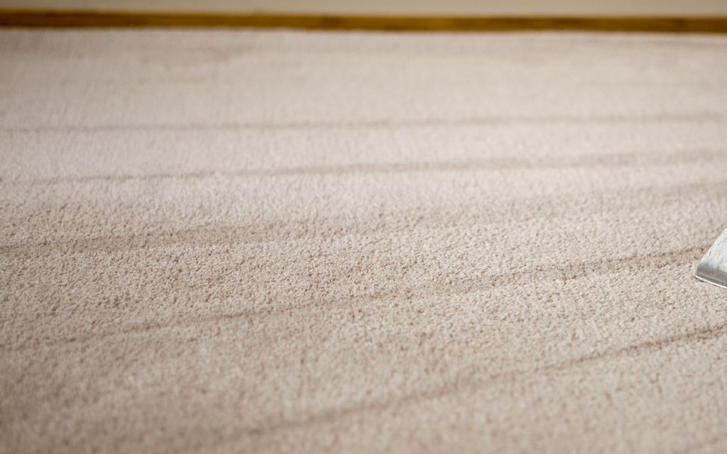 Pros provide their best carpet cleaning tips (and mistakes to avoid).
