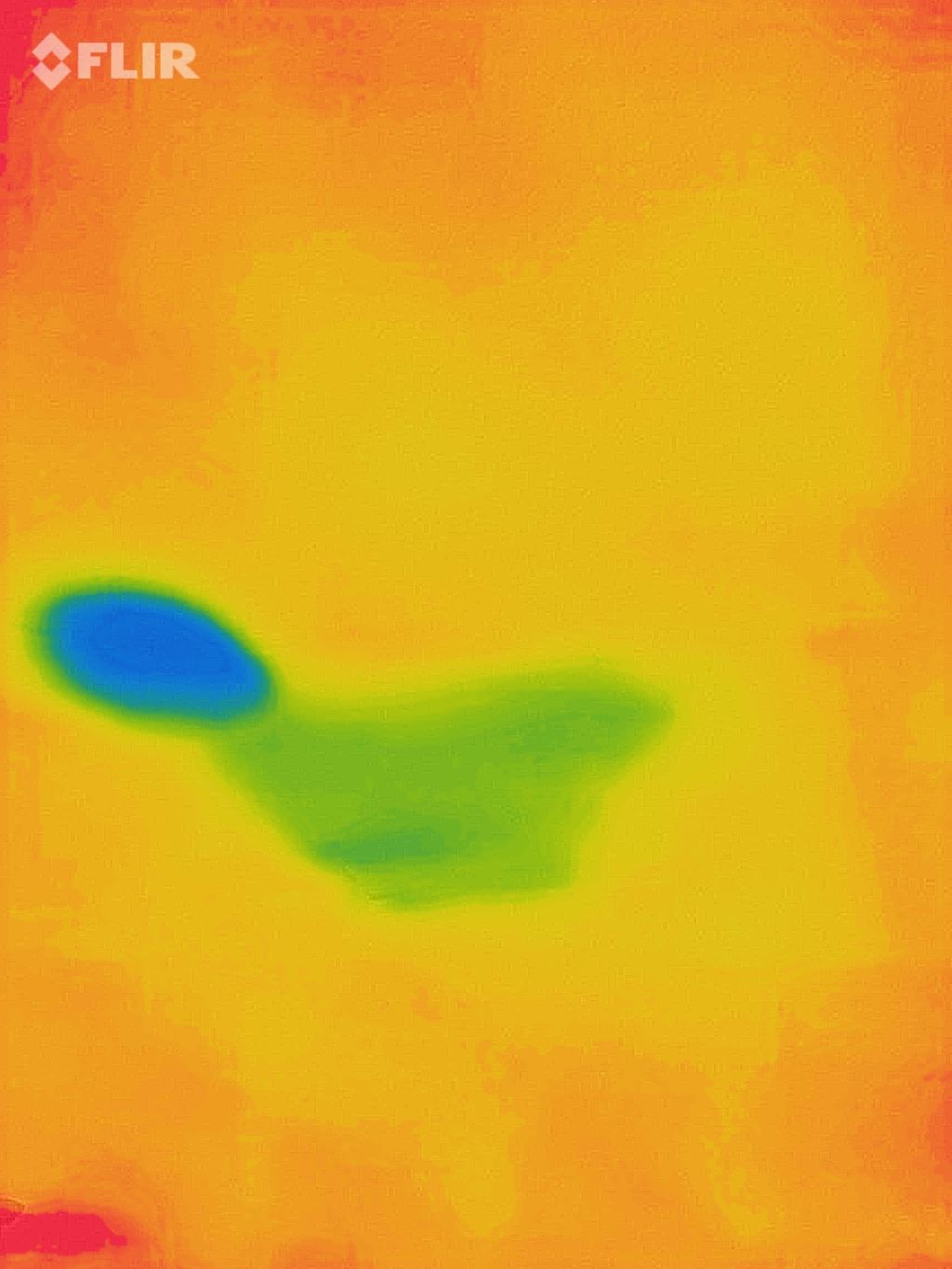 Wet Spot: ceiling (thermal scan)