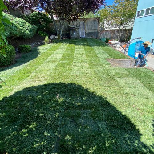 Full Service Lawn Care