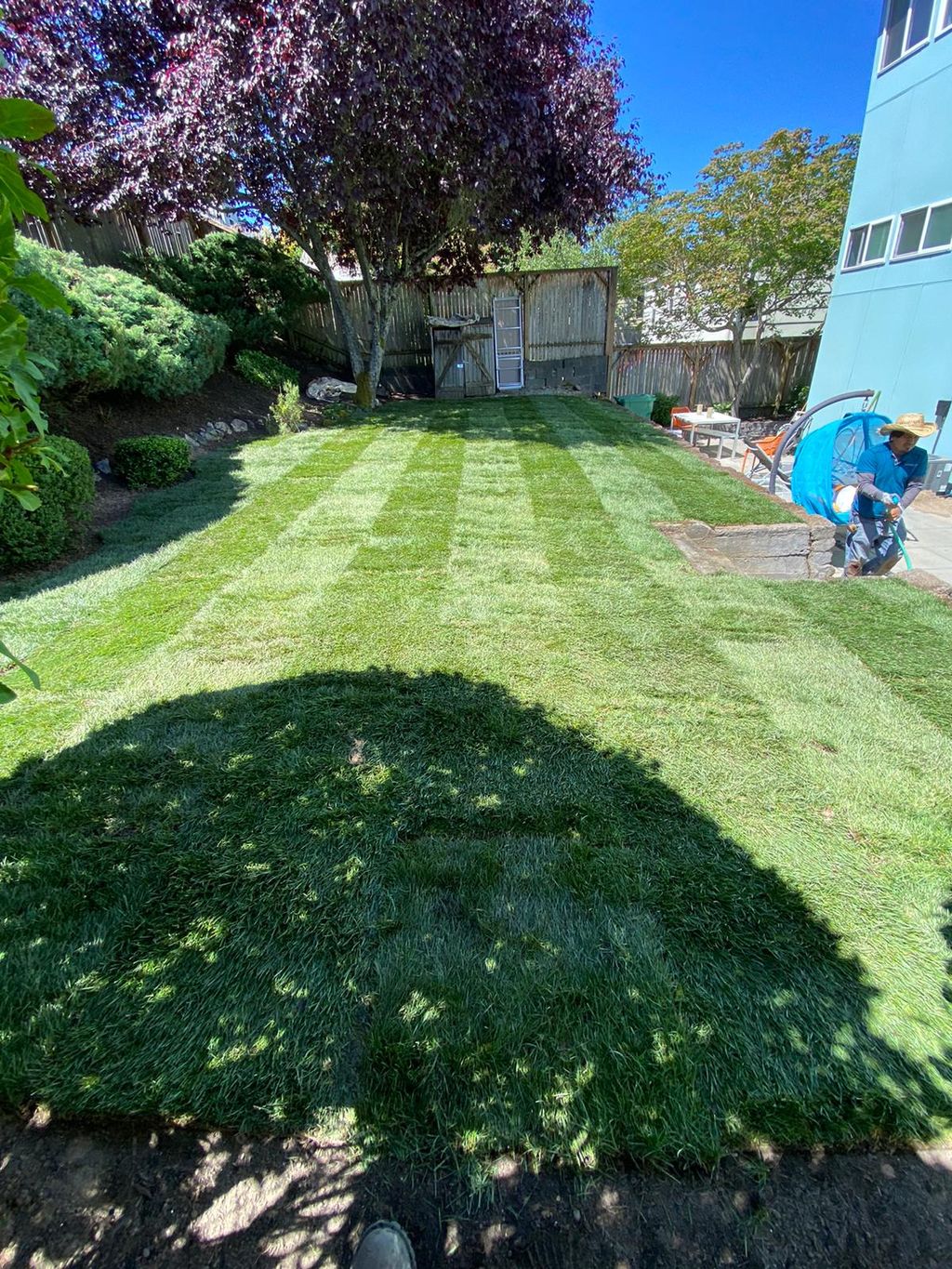 Full Service Lawn Care