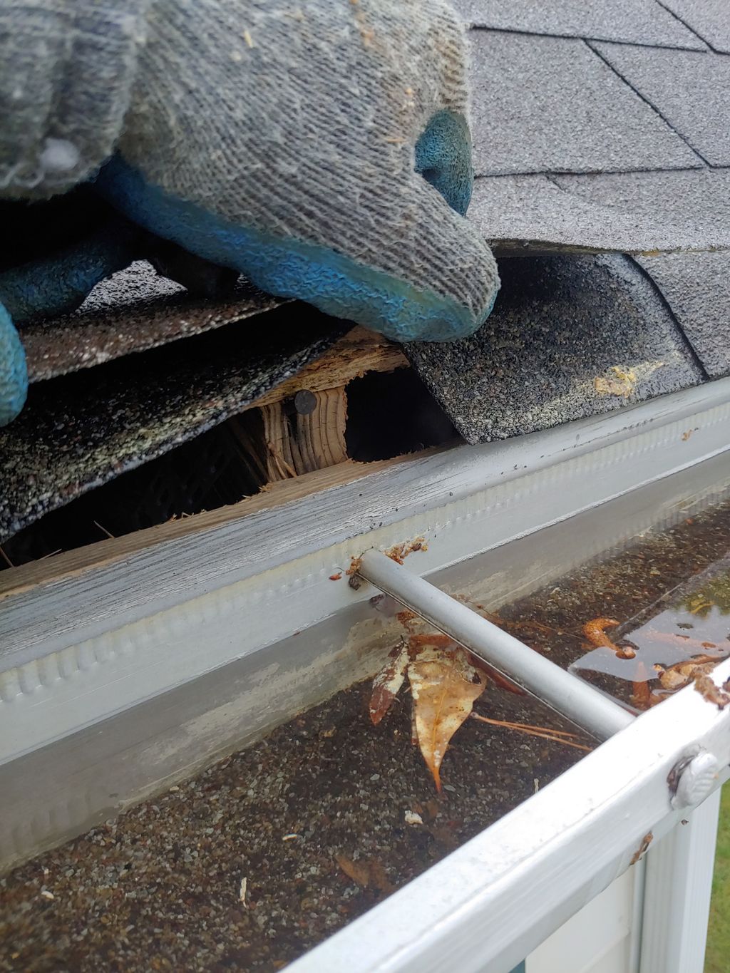 Comprehensive Wildlife Inspections