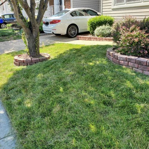 Lawn Mowing and Trimming