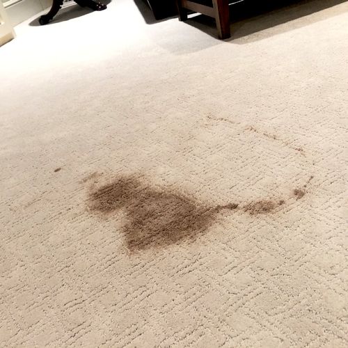 Nico's Carpet Cleaning Irving, TX Thumbtack