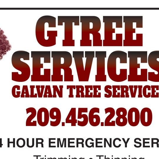 Gtree Services