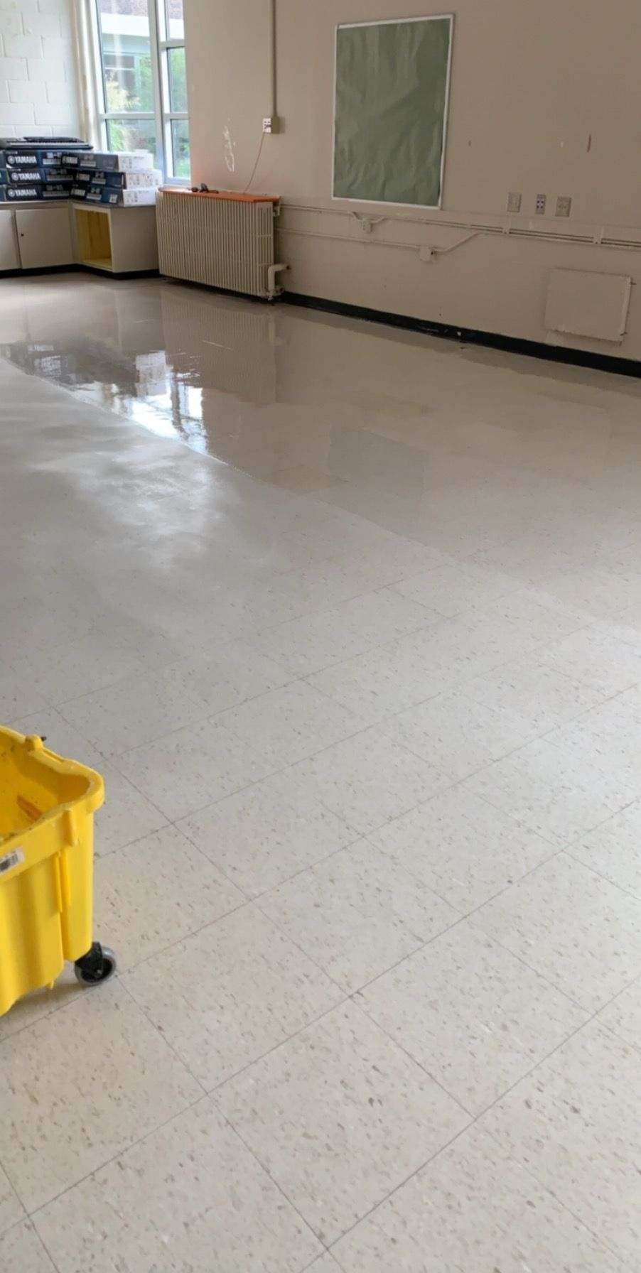 strip and wax job in progress.