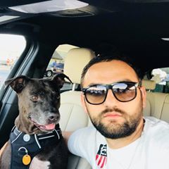 pro avatar