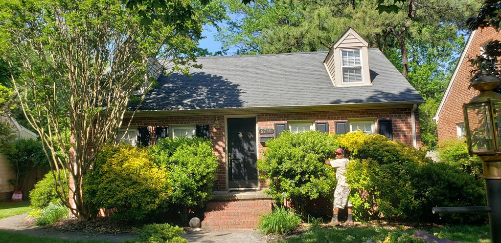 trim and mulching before. 