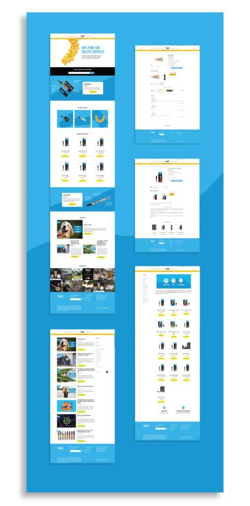 Projects and media