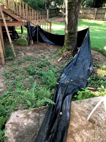 Clean Up and Pinestraw Install (BEFORE)