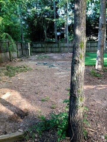 Clean Up and Pinestraw Install (BEFORE)