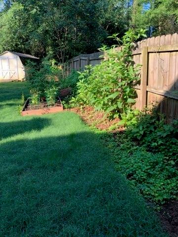 Clean Up and Pinestraw Install (BEFORE)