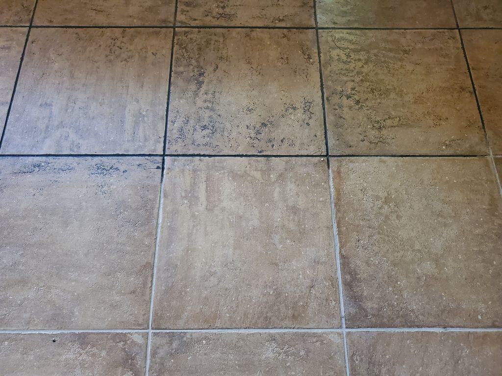 Tile and Grout Cleaning