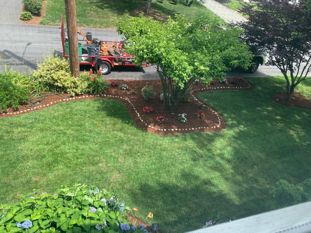Customer photos