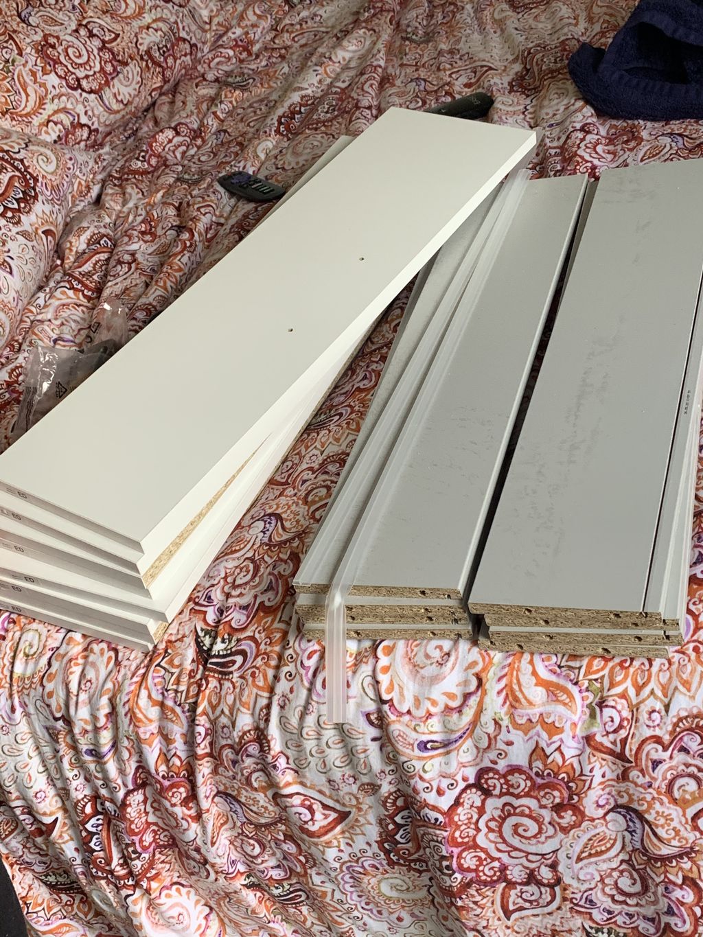 Projects and media