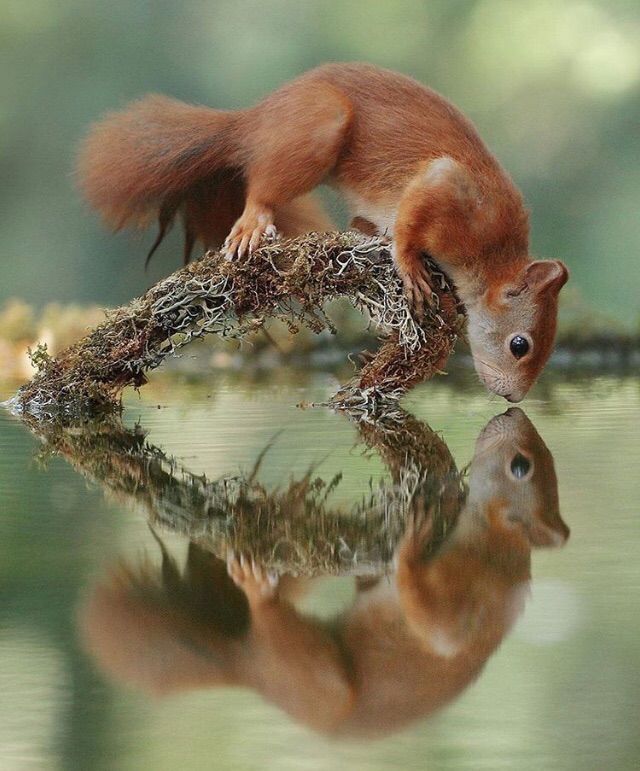 You are your true love ♥️