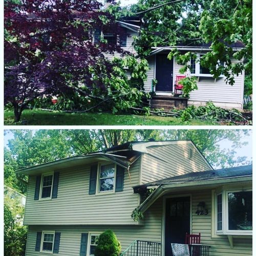 I was devastated when a huge tree fell on my house