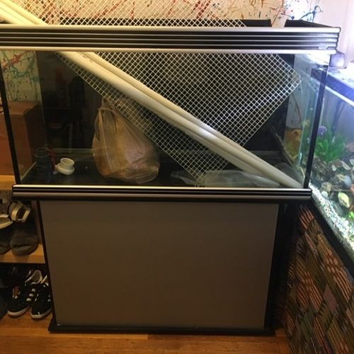 My 90-gallon freshwater tank was fully set up and 