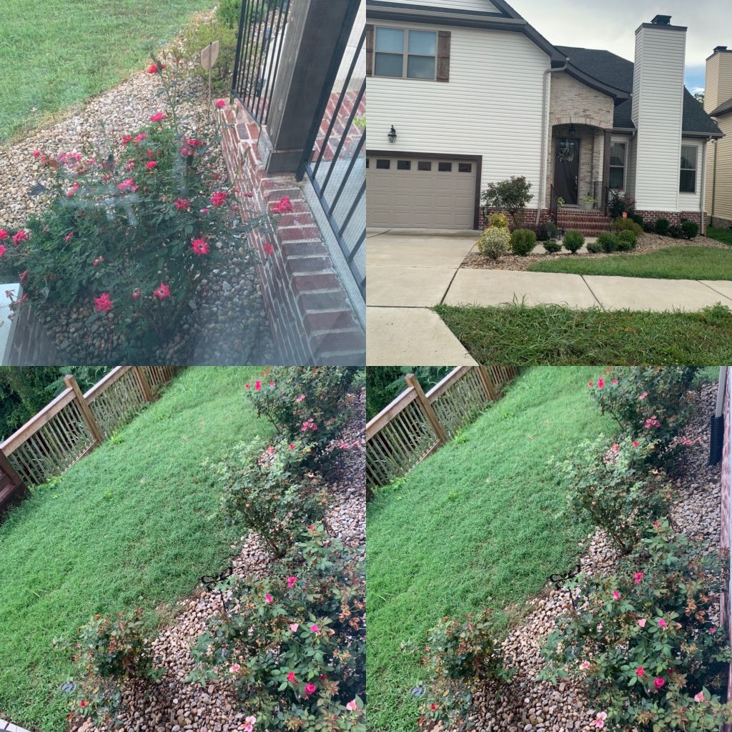 Customer photos